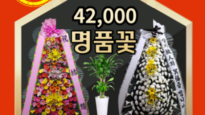급할 땐 여기! 꽃다발개업화분 당일배송 후기🌸 (할인정보有)