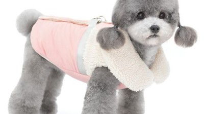 🐶겨울 산책 필수템! 강아지 패딩조끼 하네스 솔직 후기 & 꿀팁 대방출! (최저가 득템 찬스!)