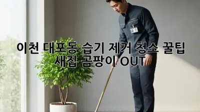 이천 대포동 습기 제거 청소 꿀팁 🏡✨ 새집 곰팡이 OUT!